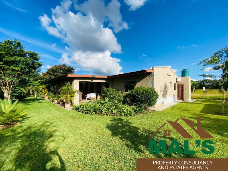 FOR SALE | New Kasama 2 Houses On 5 Acres Plot