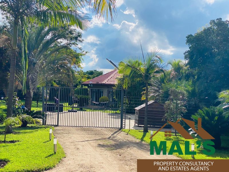 FOR SALE | New Kasama 2 Houses On 5 Acres Plot