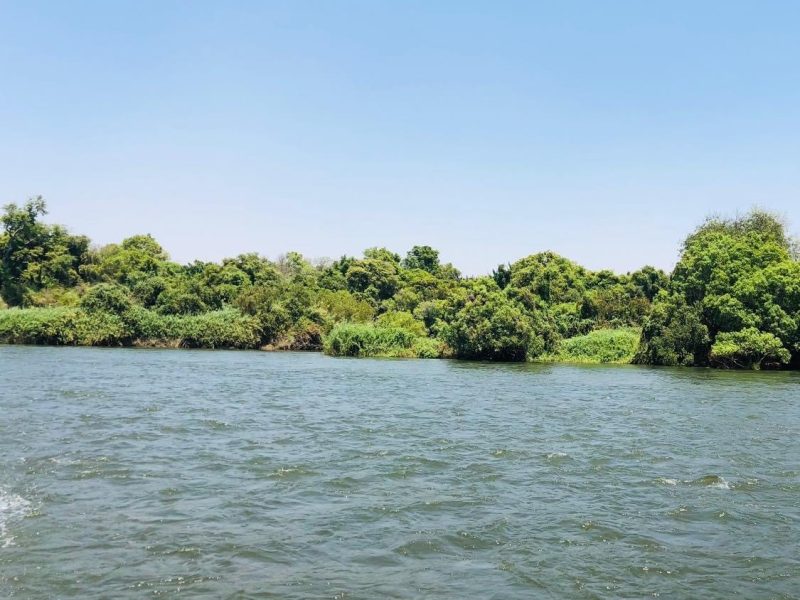 FOR SALE | Upper Zambezi Islands Near Livingstone