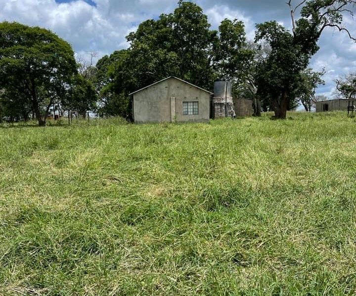 FOR SALE | Mazabuka 1,300 Hectares Farm