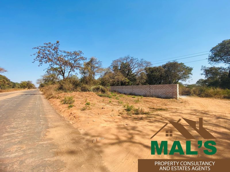 FOR SALE | Chaminuka Plots