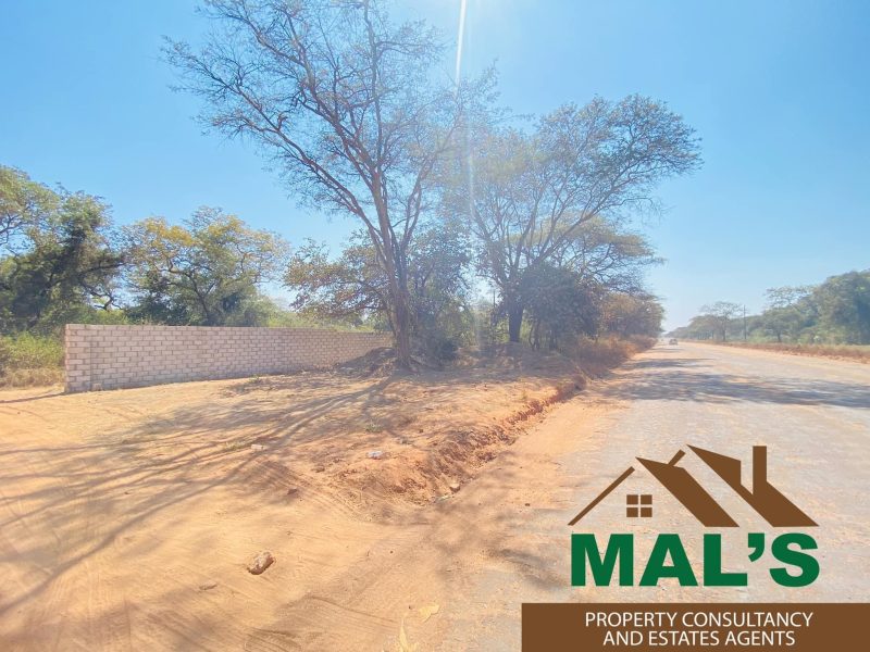 FOR SALE | Chaminuka Plots