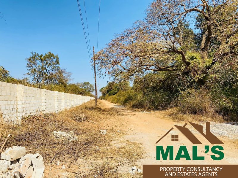 FOR SALE | Chaminuka Plots