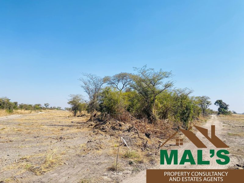 FOR SALE | Chaminuka Plots