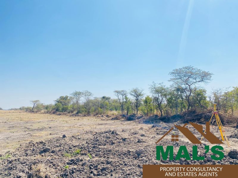 FOR SALE | Chaminuka Plots