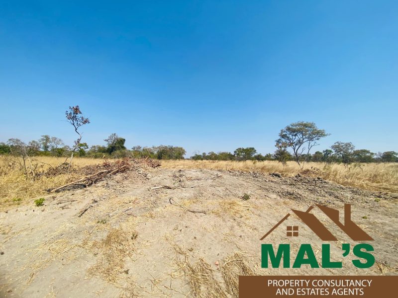 FOR SALE | Chaminuka Plots