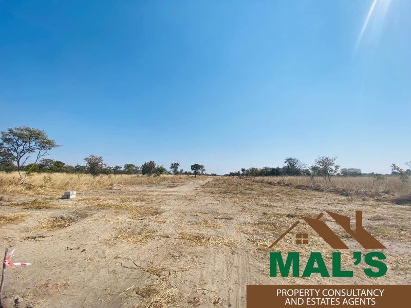 FOR SALE | Chaminuka Plots