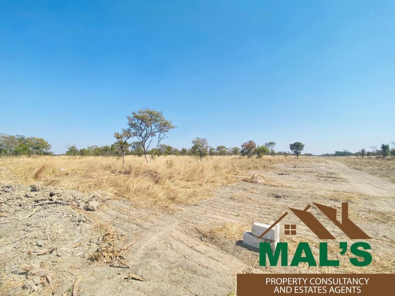 FOR SALE | Chaminuka Plots