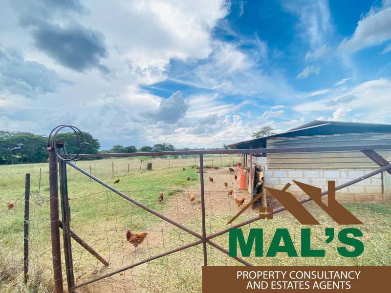 FOR SALE | Makeni 27.58 Acres Fully Functional Meat Processing Plant And Livestock Farm