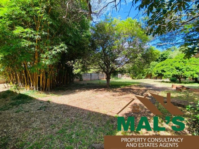 FOR SALE | Woodlands Independence Avenue 1.44 Acres Plot