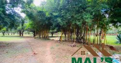 FOR SALE | Kabulonga Leopards Hill Road 5 Acres Plot