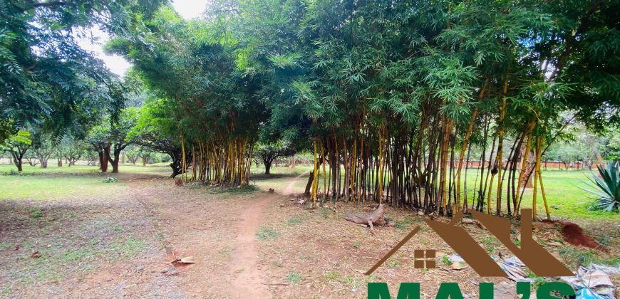 FOR SALE | Kabulonga Leopards Hill Road 5 Acres Plot