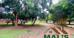 FOR SALE | Kabulonga Leopards Hill Road 5 Acres Plot