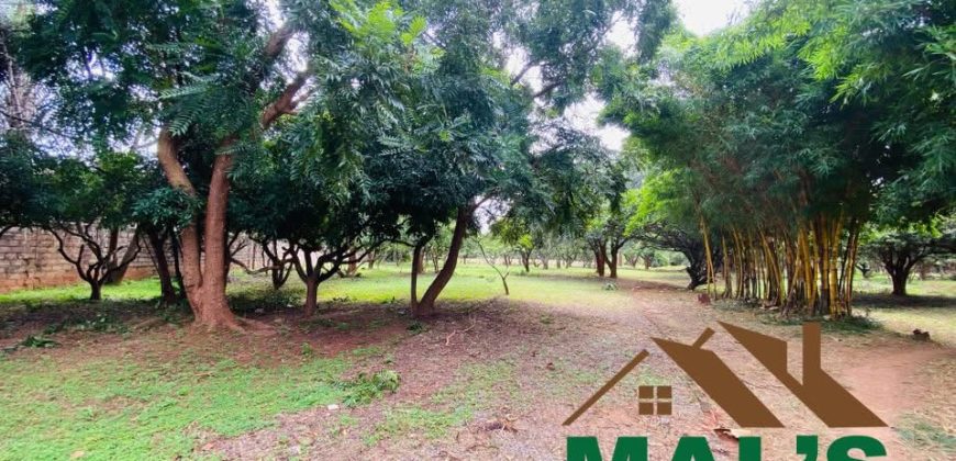FOR SALE | Kabulonga Leopards Hill Road 5 Acres Plot