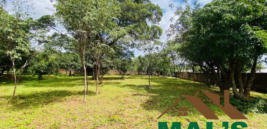 FOR SALE | Kabulonga Leopards Hill Road 5 Acres Plot