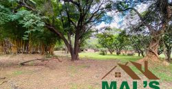 FOR SALE | Kabulonga Leopards Hill Road 5 Acres Plot