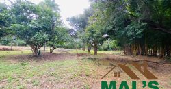 FOR SALE | Kabulonga Leopards Hill Road 5 Acres Plot
