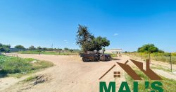 FOR SALE | 15 Miles Poultry Farm on 5 Acres