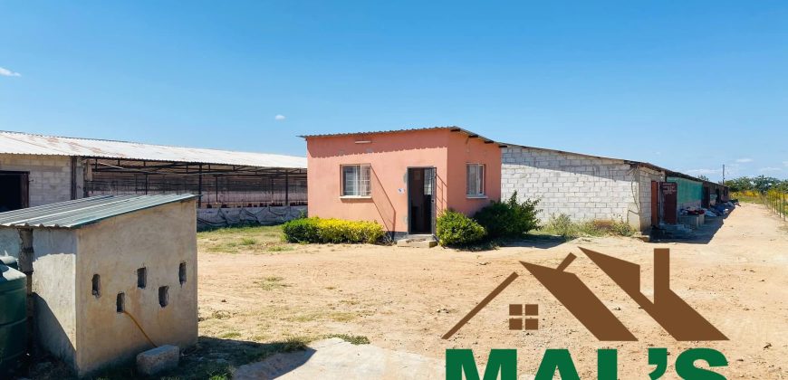 FOR SALE | 15 Miles Poultry Farm on 5 Acres