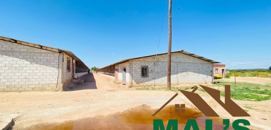 FOR SALE | 15 Miles Poultry Farm on 5 Acres