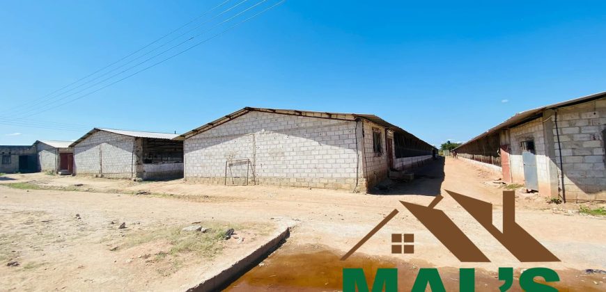 FOR SALE | 15 Miles Poultry Farm on 5 Acres