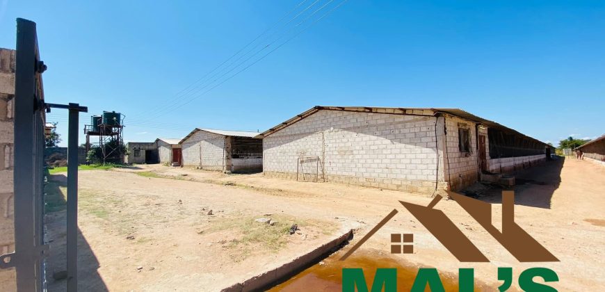 FOR SALE | 15 Miles Poultry Farm on 5 Acres