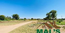 FOR SALE | 15 Miles Poultry Farm on 5 Acres