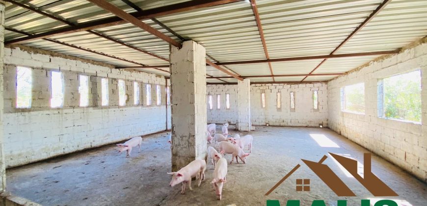 FOR SALE | Njolwe 4.493 Acres Farm Off Leopards Hill Road