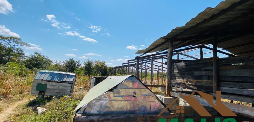 FOR SALE | Njolwe 4.493 Acres Farm Off Leopards Hill Road