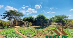 FOR SALE | Njolwe 4.493 Acres Farm Off Leopards Hill Road
