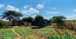 FOR SALE | Njolwe 4.493 Acres Farm Off Leopards Hill Road