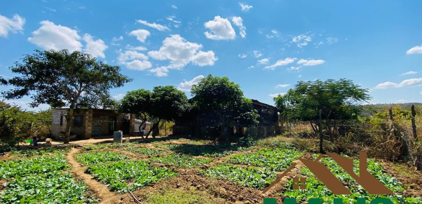 FOR SALE | Njolwe 4.493 Acres Farm Off Leopards Hill Road
