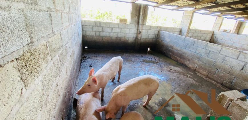 FOR SALE | Njolwe 4.493 Acres Farm Off Leopards Hill Road