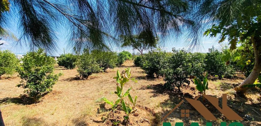 FOR SALE | Njolwe 4.493 Acres Farm Off Leopards Hill Road