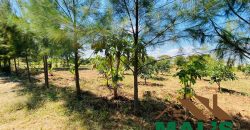 FOR SALE | Njolwe 4.493 Acres Farm Off Leopards Hill Road
