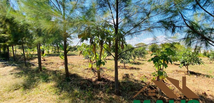 FOR SALE | Njolwe 4.493 Acres Farm Off Leopards Hill Road