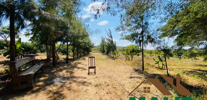FOR SALE | Njolwe 4.493 Acres Farm Off Leopards Hill Road