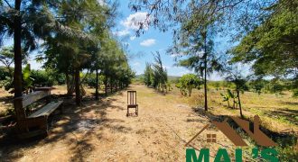 FOR SALE | Njolwe 4.493 Acres Farm Off Leopards Hill Road