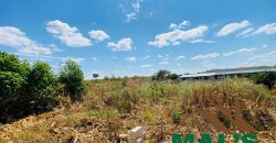 FOR SALE | Njolwe 4.493 Acres Farm Off Leopards Hill Road