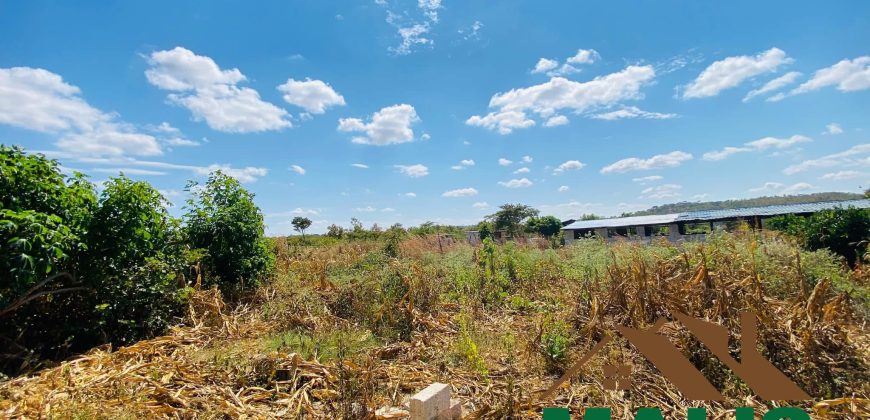FOR SALE | Njolwe 4.493 Acres Farm Off Leopards Hill Road