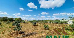FOR SALE | Njolwe 4.493 Acres Farm Off Leopards Hill Road