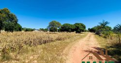 FOR SALE | Njolwe 4.493 Acres Farm Off Leopards Hill Road
