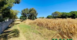 FOR SALE | Njolwe 4.493 Acres Farm Off Leopards Hill Road