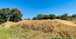 FOR SALE | Njolwe 4.493 Acres Farm Off Leopards Hill Road