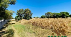 FOR SALE | Njolwe 4.493 Acres Farm Off Leopards Hill Road
