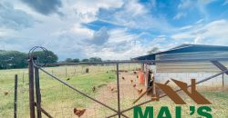 FOR SALE | Makeni 27.58 Acres Fully Functional Meat Processing Plant And Livestock Farm