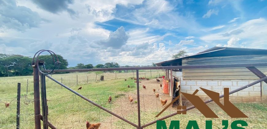 FOR SALE | Makeni 27.58 Acres Fully Functional Meat Processing Plant And Livestock Farm