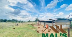 FOR SALE | Makeni 27.58 Acres Fully Functional Meat Processing Plant And Livestock Farm