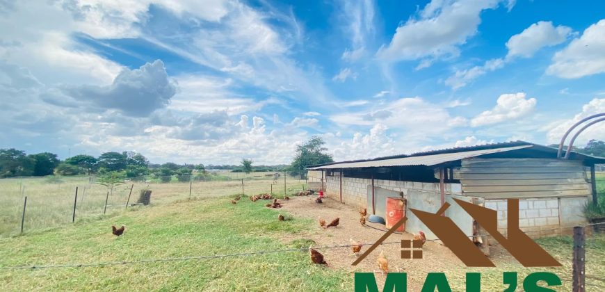 FOR SALE | Makeni 27.58 Acres Fully Functional Meat Processing Plant And Livestock Farm