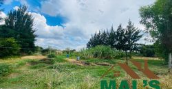 FOR SALE | Makeni 27.58 Acres Fully Functional Meat Processing Plant And Livestock Farm